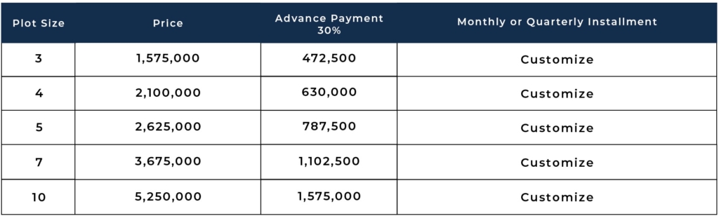 Kings Lane Payment Plan