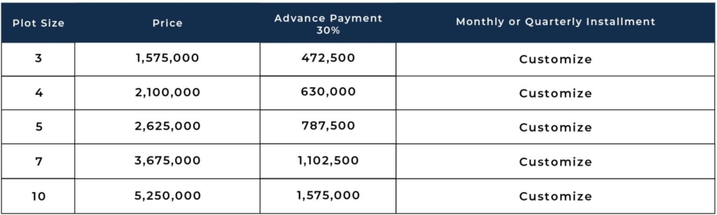 Kings Lane Payment Plan Option 2
